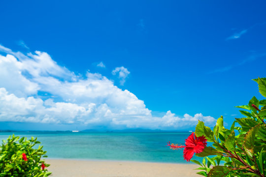 okinawa beach